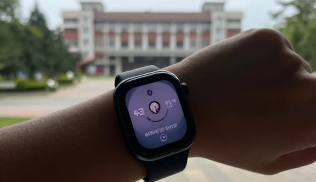 供应链优化中的关键使用策略与维护建议